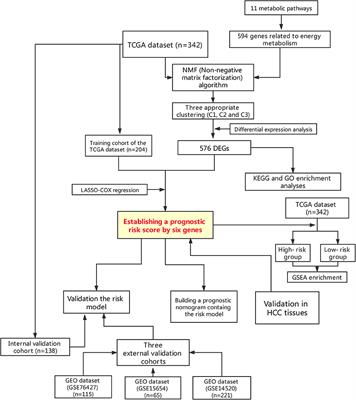 Identification of Energy Metabolism Genes for the Prediction of Survival in Hepatocellular Carcinoma